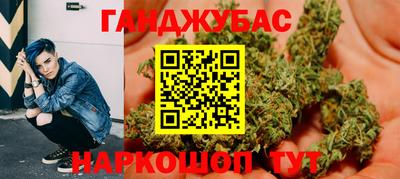 сатива Кингисепп