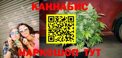 сатива Кингисепп