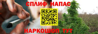 сатива Кингисепп