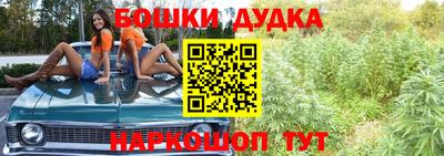сатива Кингисепп