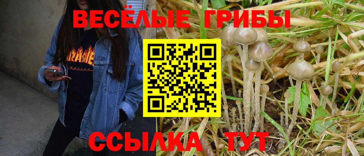 Галлюциногенные грибы мухоморы Электросталь